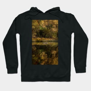 'Autumn Magic 5', Loch Dunmore, Pitlochry Hoodie